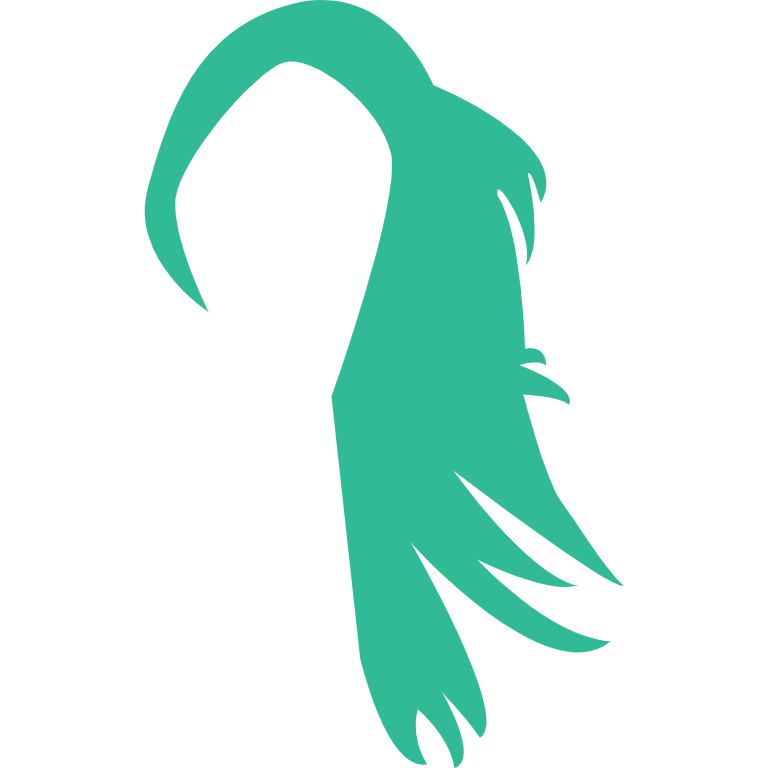 CHEVEUX